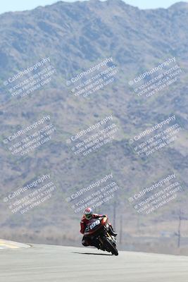 media/Apr-27-2025-BRL Bagger Racing League (Sun) [[7a5f00f0a5]]/5-Bagger GP-Pro Stock-Super Street Race/